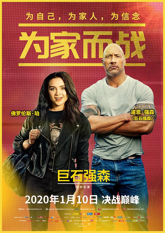 为家而战海报