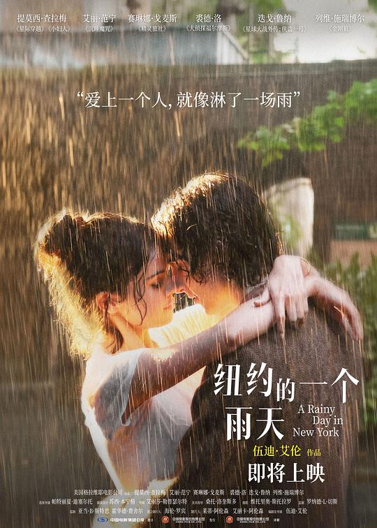 纽约的一个雨天海报