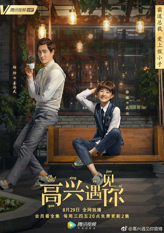 高兴遇见你海报
