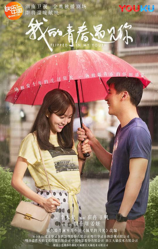 我的青春遇见你海报