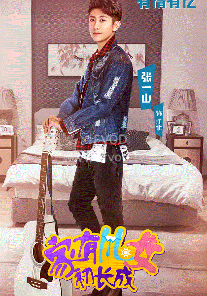 家有儿女初长成海报