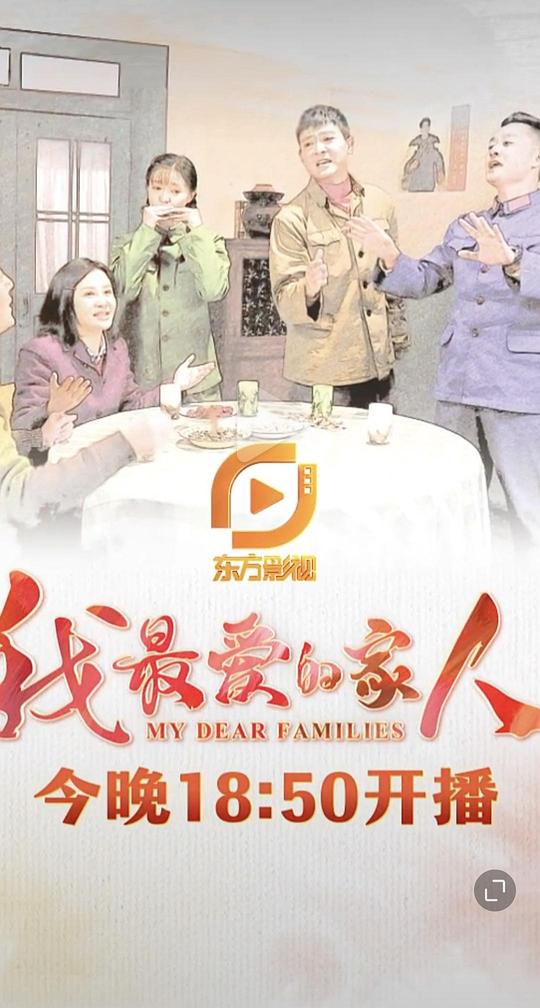 我最爱的家人海报