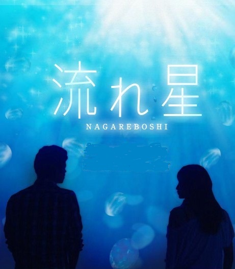 流星海报