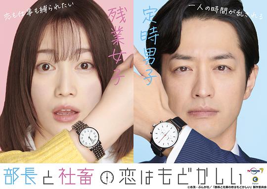 部长和社畜的恋情令人着急海报