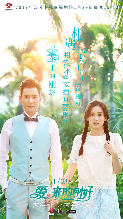 爱,来的刚好海报