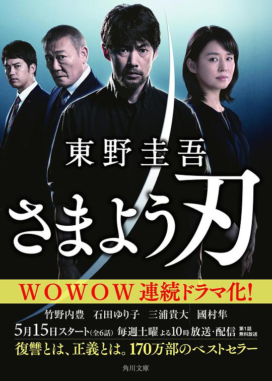 彷徨之刃海报