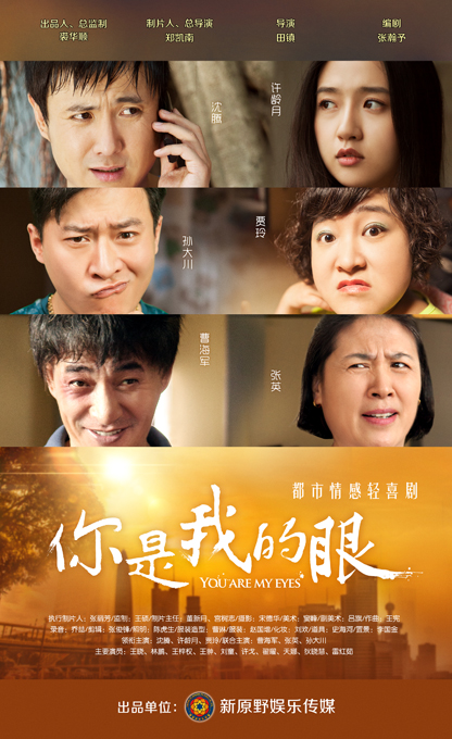 你是我的眼海报