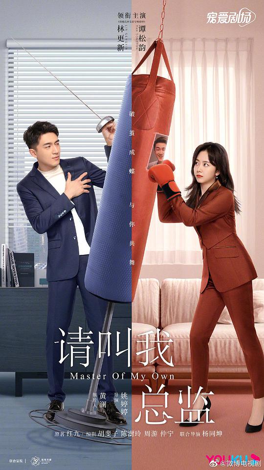 请叫我总监海报