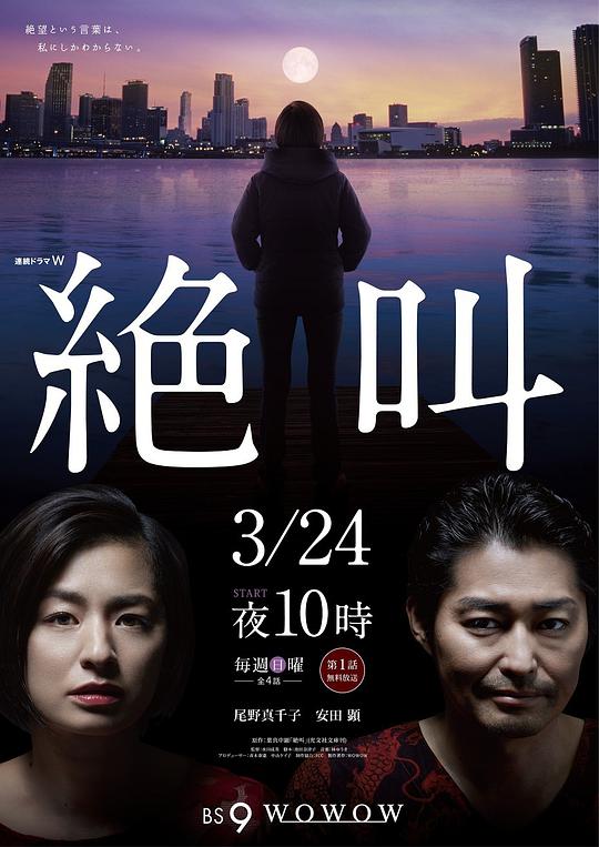 绝叫海报