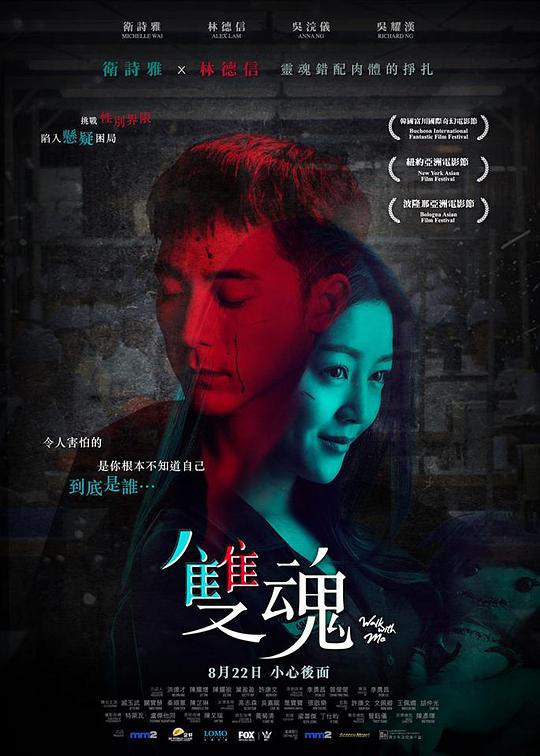 双魂海报