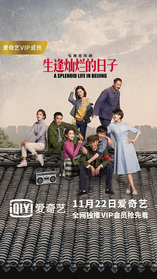 生逢灿烂的日子海报