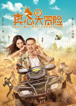 真心遇上大冒险海报