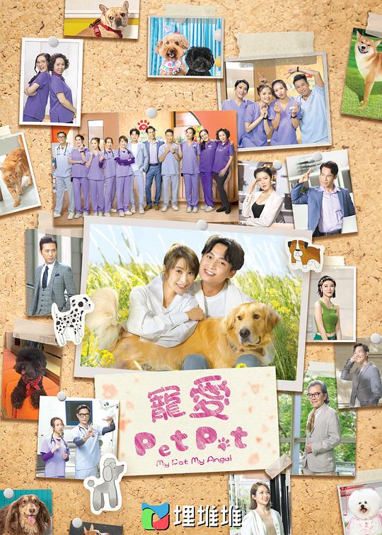 宠爱Pet Pet(粤)海报