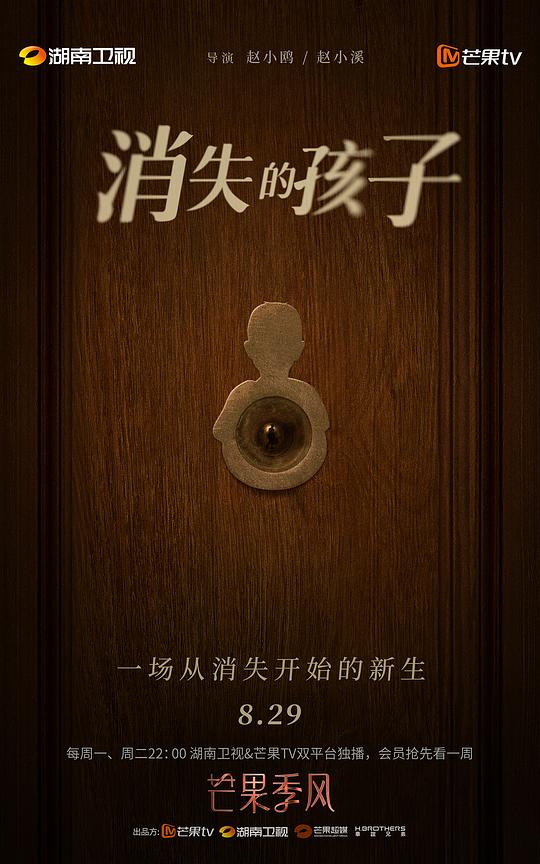 消失的孩子海报