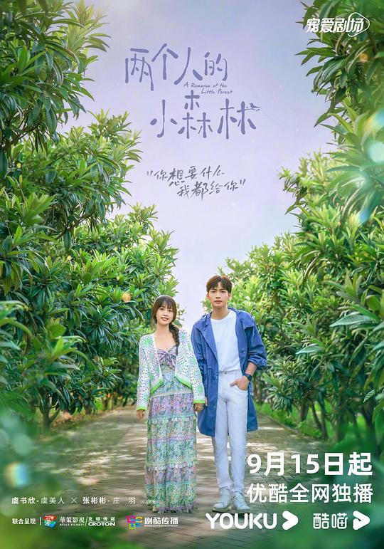 两个人的小森林海报
