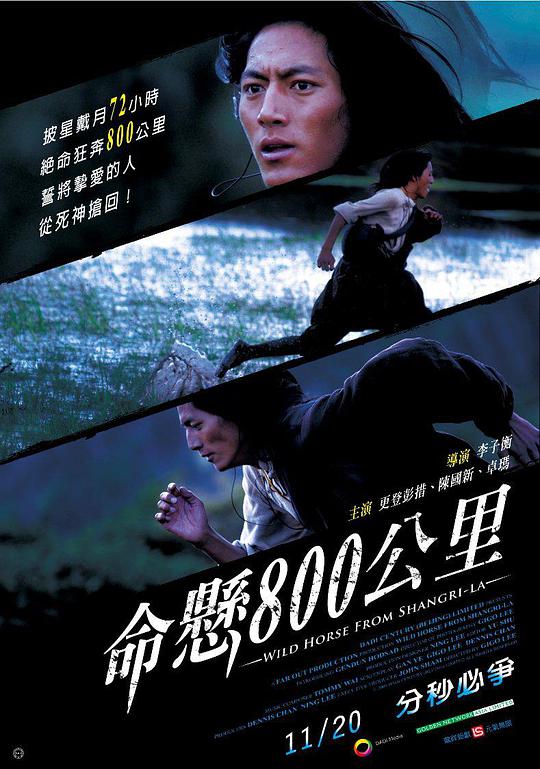 命悬800公里海报
