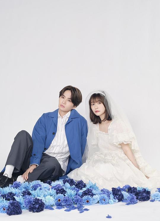 我们假结婚吧海报
