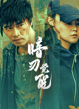 暗刃觉醒海报