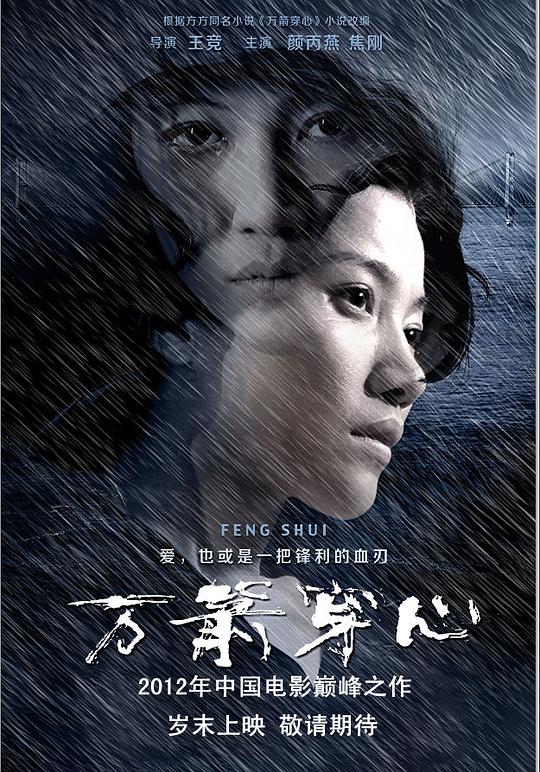 万箭穿心海报