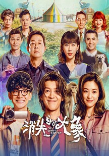 消失的大象海报