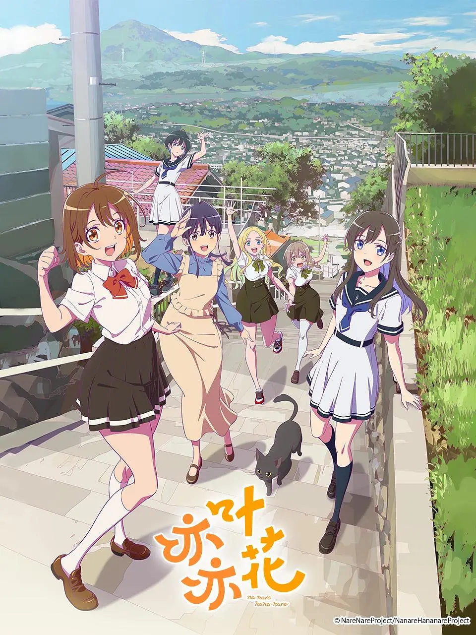 亦叶亦花海报