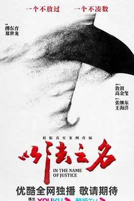 以法之名海报