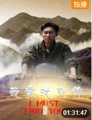 我要找到你海报