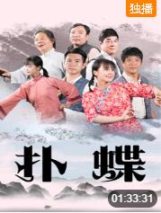 扑蝶海报