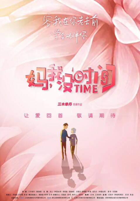 妈,我没时间海报