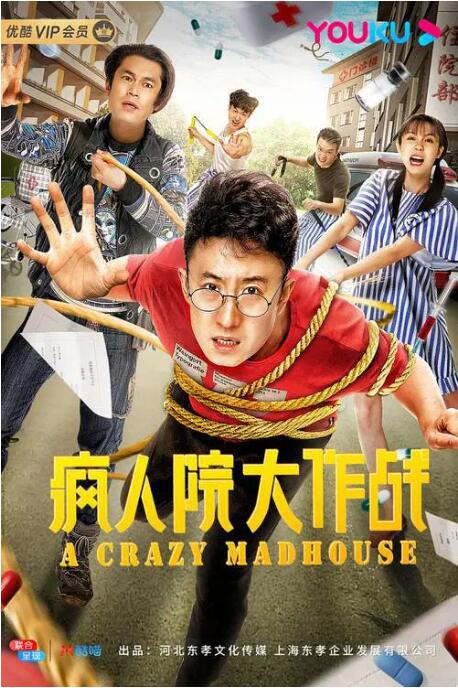疯人院大作战海报