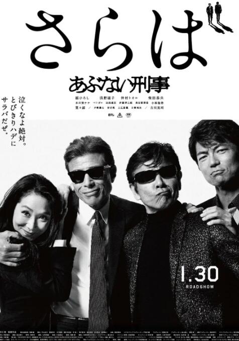 玩命警探7海报