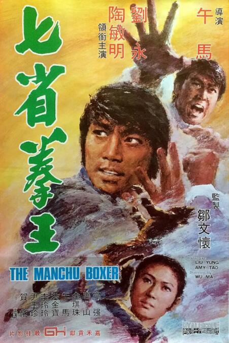 七省拳王海报