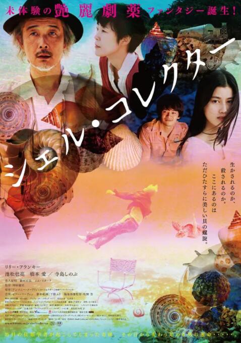 贝壳收藏家海报
