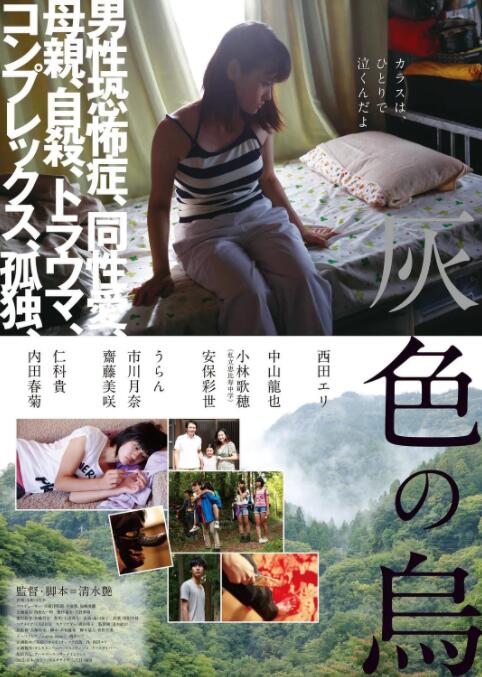 灰色乌鸦海报
