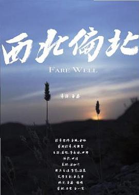 西北偏北(普通话)海报