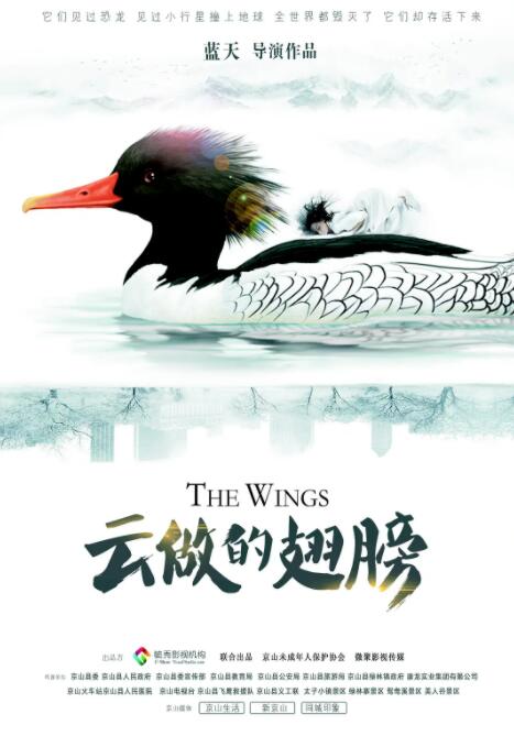 云做的翅膀海报
