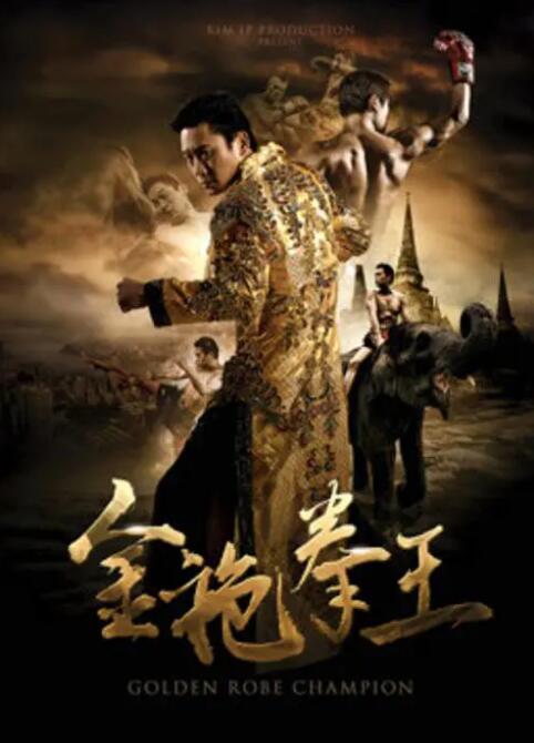 金袍拳王海报