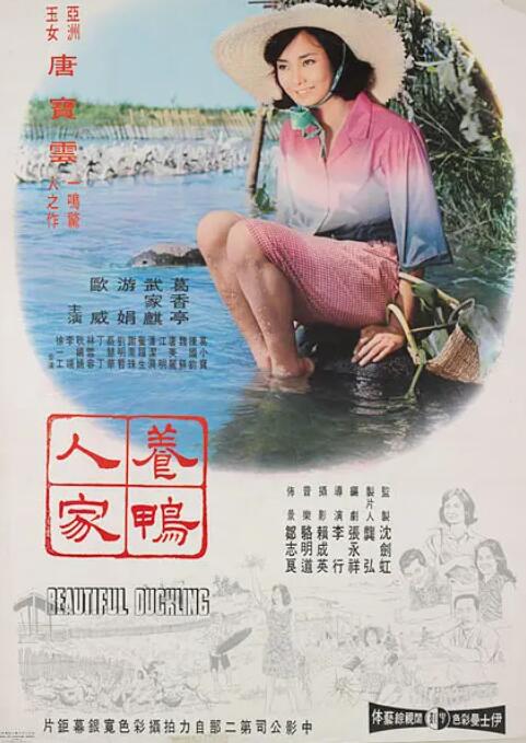 养鸭人家海报
