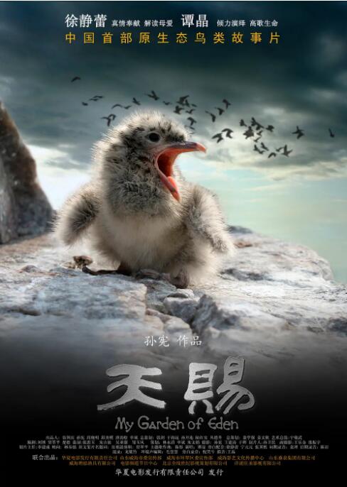 天赐海报