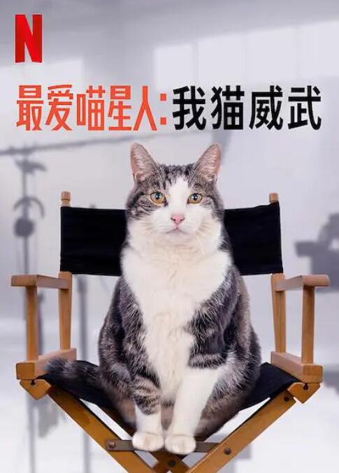 最爱喵星人:我猫威武海报