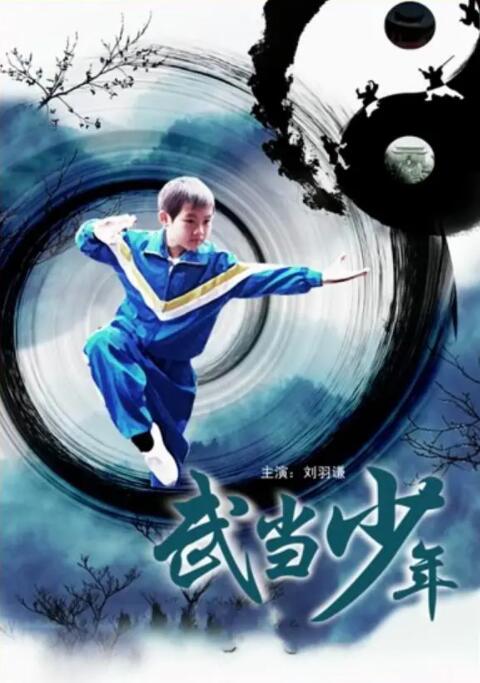 武当少年海报