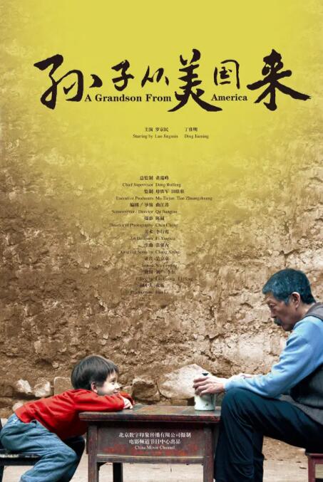 孙子从美国来海报
