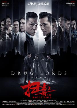 扫毒2天地对决(国语版)海报