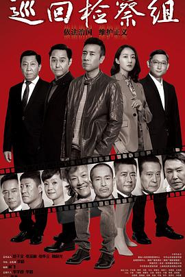 巡回检察组(DVD版)海报