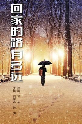 回家的路有多远海报