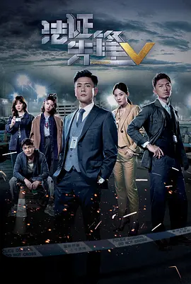 法证先锋5(国语版)海报