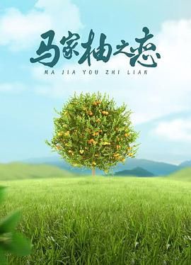 马家柚之恋海报