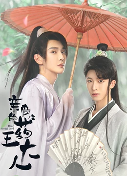 亲爱的药王大人第二季海报
