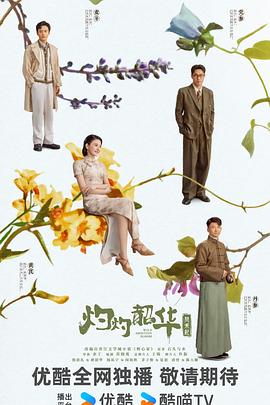 灼灼韶华海报
