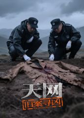 天网:旧案寻凶海报